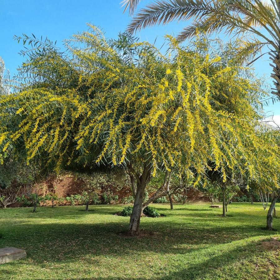 Riad Les Deux Citronniers Marrakesh Eksteriør billede