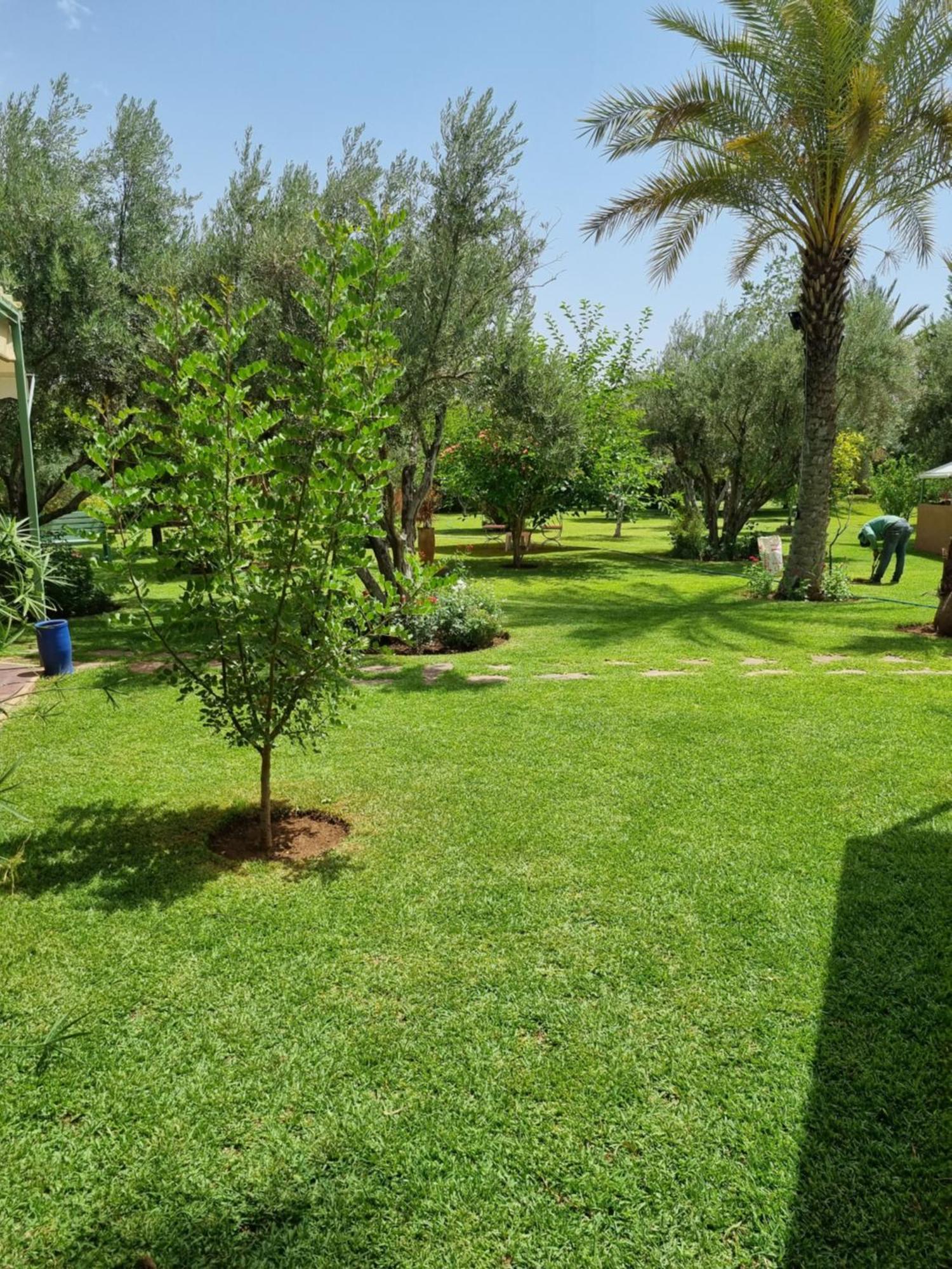 Riad Les Deux Citronniers Marrakesh Værelse billede
